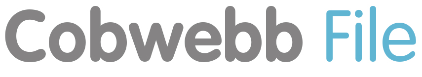 Cobwebb File Logo